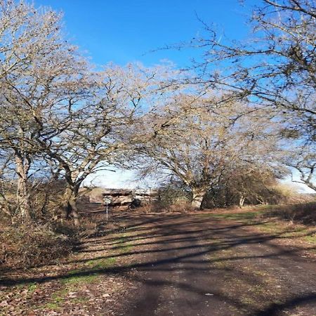 Exklusive Naturoase Direkt Am Ars Natura Wanderweg Mit Panoramablick Auf Мельзунґен Екстер'єр фото